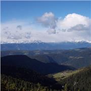 Insegnante per ripetizione alunni della primaria e secondaria in tutte le materie (matematica, italiano, inglese, scienze/biologia, materie di studio..) sia online che in presenza